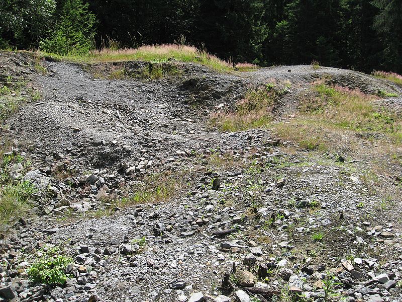 Haldenreste der Grube Marie bei Wilnsdorf (Aus Wikipedia)