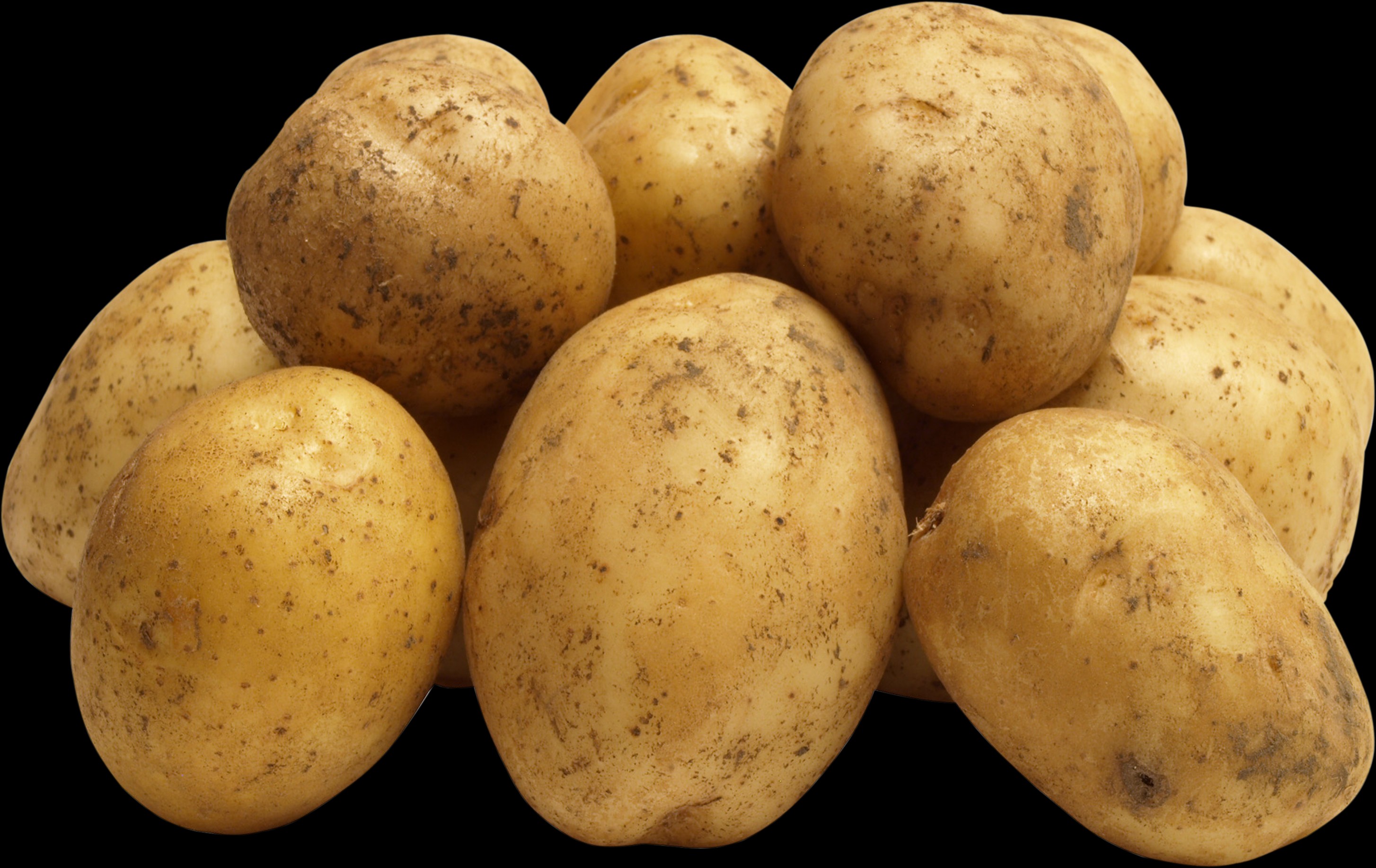 Kartoffeln sind in Deutschland eine sehr beliebte Beilage – kein Wunder, denn die Knolle ist extrem vielseitig. Bild: www.freundin.de