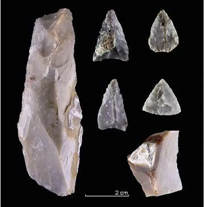 Eine Auswahl der ältesten jungsteinzeitlichen Funde bei Dreis-Tiefenbach (Bild H. Menne u. A. Müller)